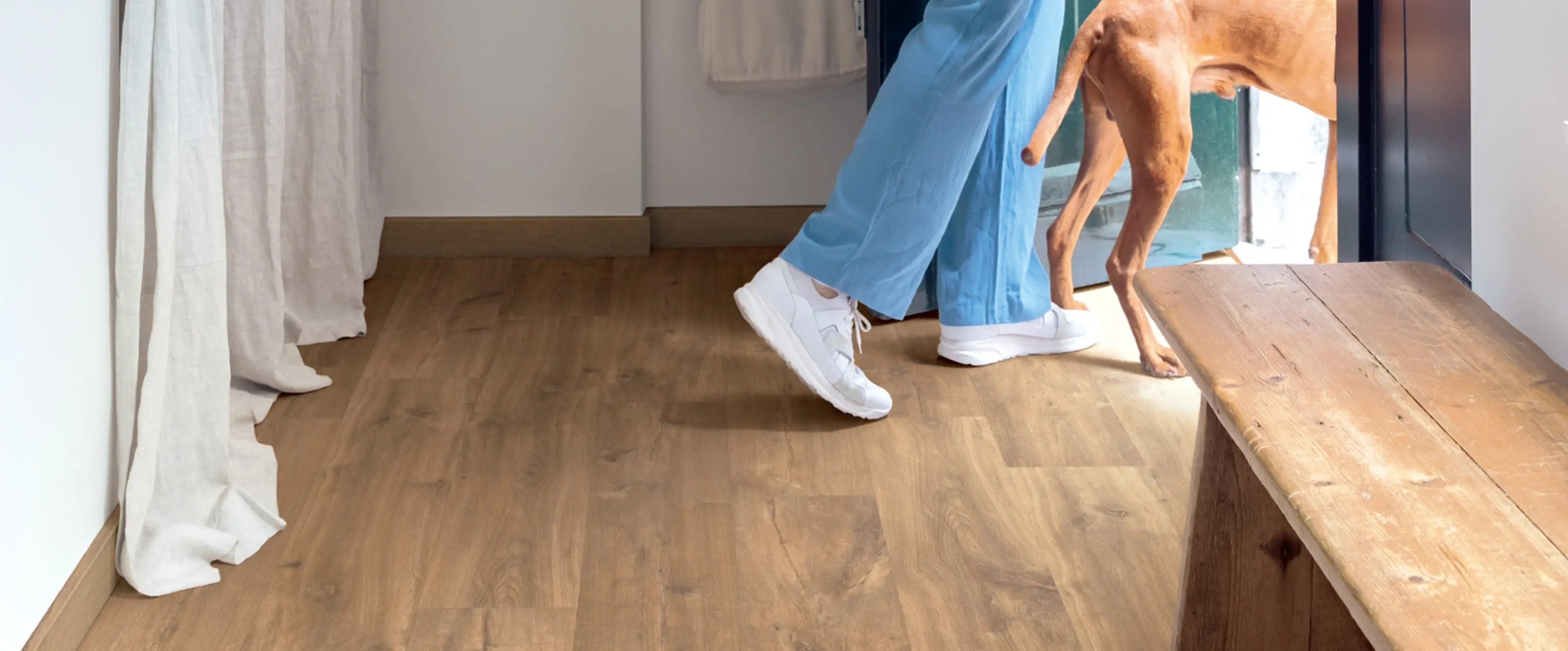 木目調のフローリングの上を、白いスニーカーを履いた人と茶色い犬が玄関から外に出ようとしている